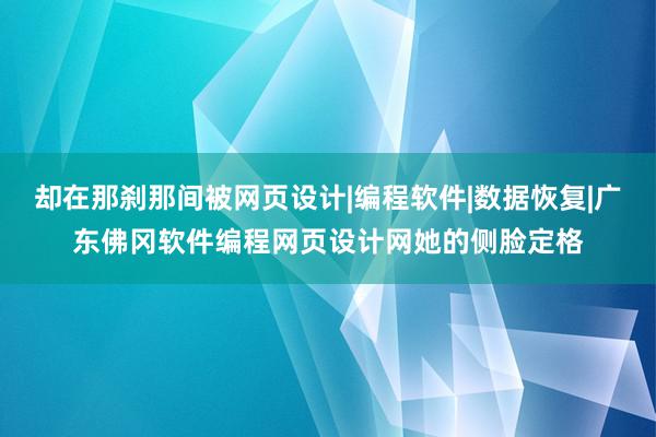 却在那刹那间被网页设计|编程软件|数据恢复|广东佛冈软件编程网页设计网她的侧脸定格